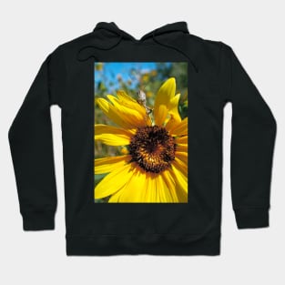 Brunch Hoodie